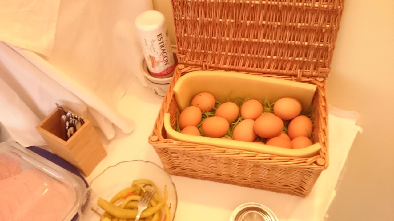 Hotel Post Steinach 施泰纳赫布伦纳 外观 照片